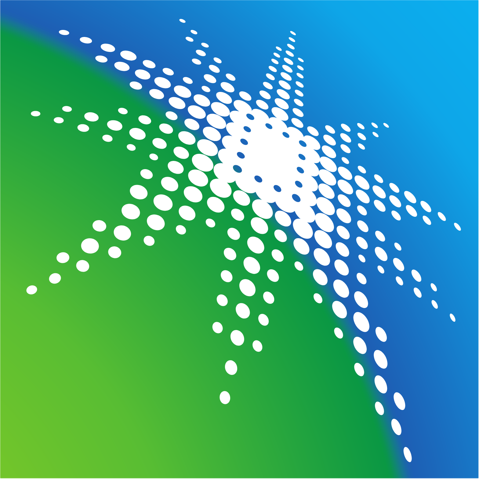 Saudi Aramco